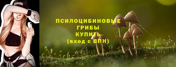 амф Абдулино
