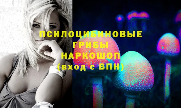 твердый Абинск