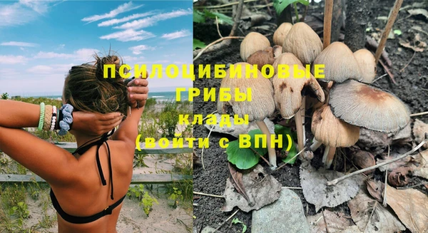 наркотики Абаза
